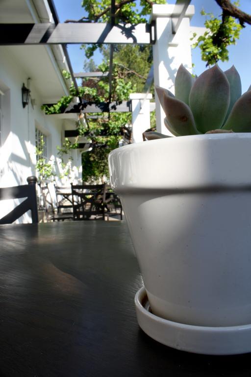 Lemon & Lime Guesthouse Bloemfontein Exterior photo